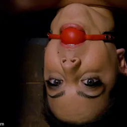 Claire Adams in 'Kink' Total Amateur performs for the camera for the first time ever! (Thumbnail 7)