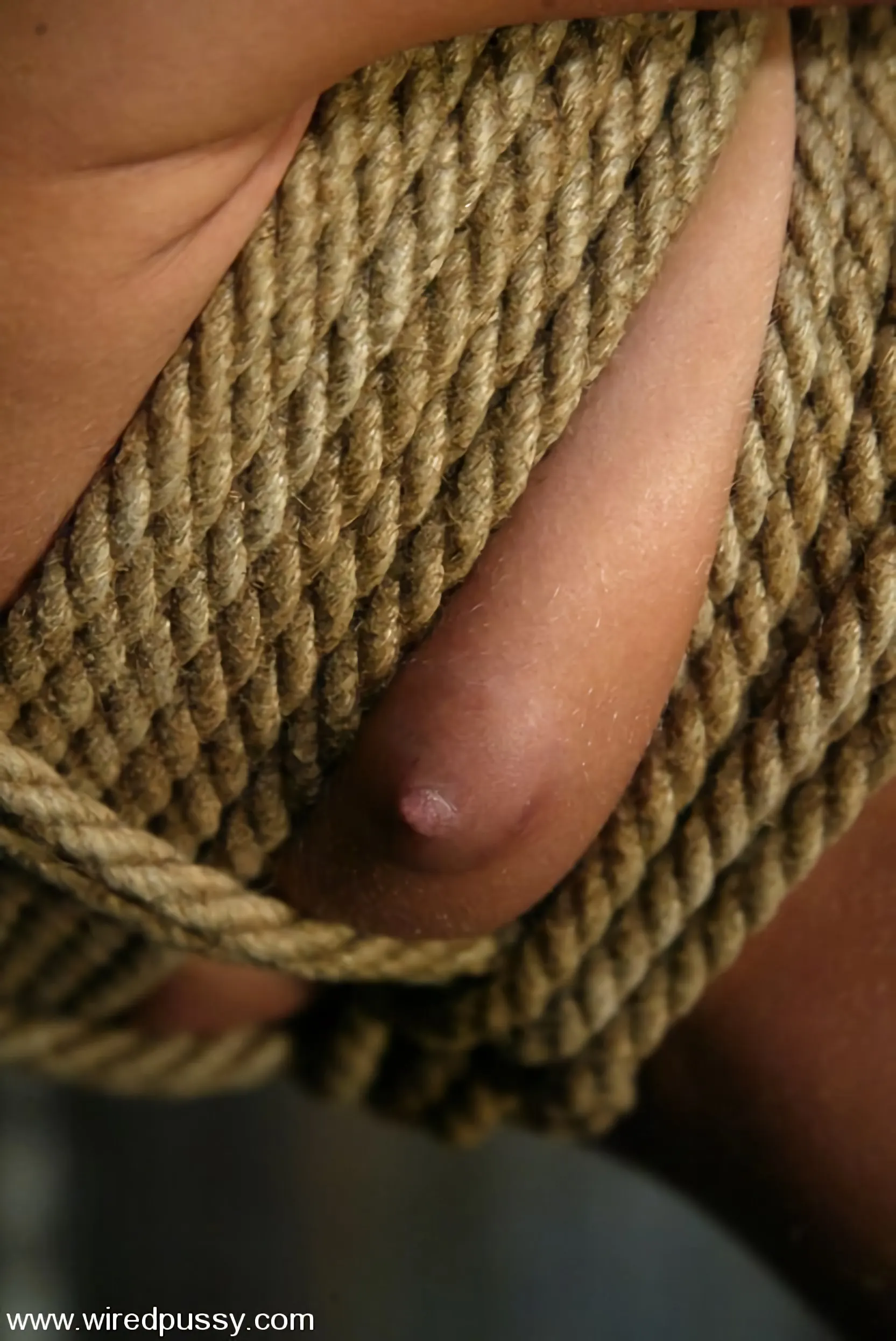 Kink 'and Princess Donna Dolore' starring Courtney Simpson (Photo 7)