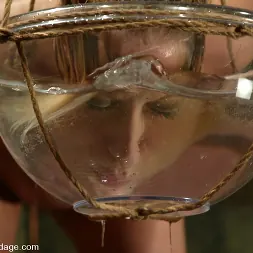 Escarcha de cristal en 'Kink' Escarcha de cristal (Miniatura 11)