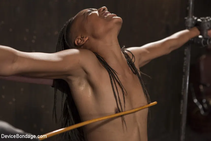 Kink '2潮吹きの痛み' 主演 Daisy Ducati (写真 4)