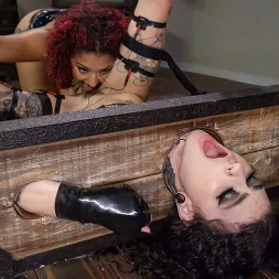 Daisy Ducati in 'Kink' Afraid and Horny: Daisy Ducati and Lydia Black (Thumbnail 13)