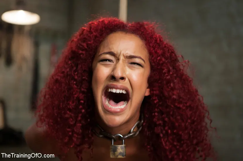 Kink 'アナルトレーニングミスデイジー、1日目' 主演 Daisy Ducati (写真 3)