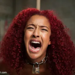 Daisy Ducati に 'Kink' アナルトレーニングミスデイジー、1日目 (サムネイル 3)