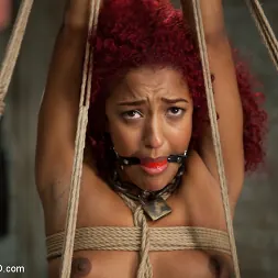 Daisy Ducati に 'Kink' アナルトレーニングミスデイジー、1日目 (サムネイル 14)