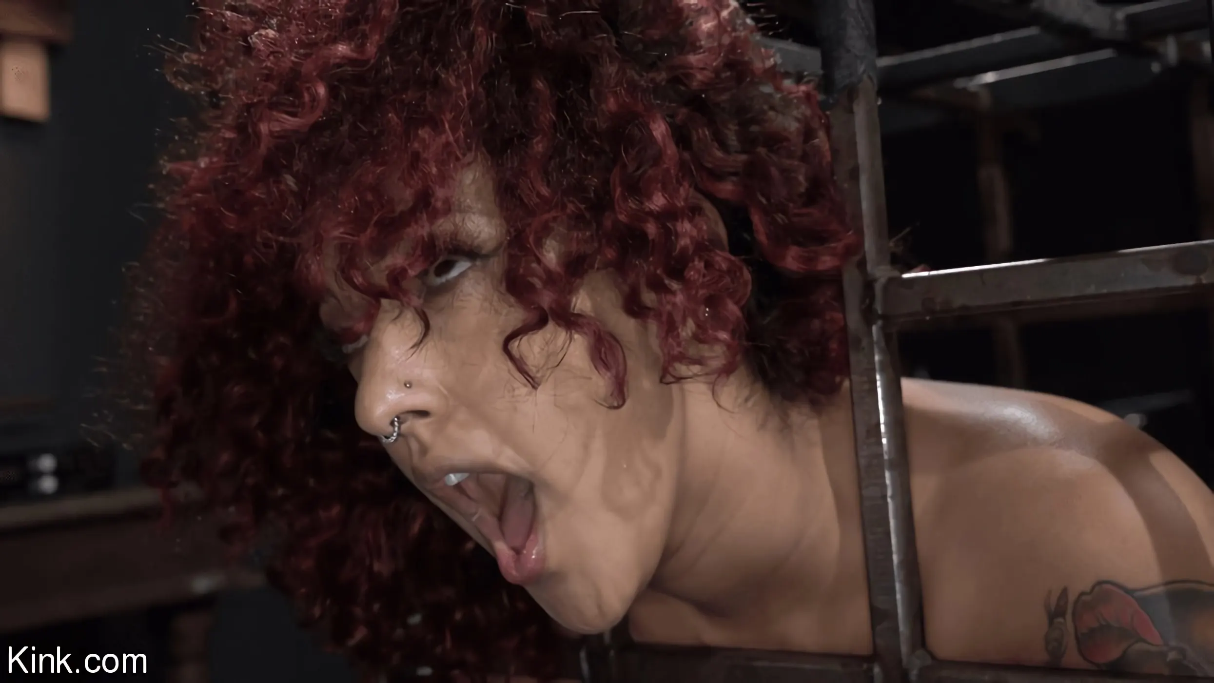 Kink 'アスファルト島、パート2:デイジードゥカティとラッカス' 主演 Daisy Ducati (写真 14)