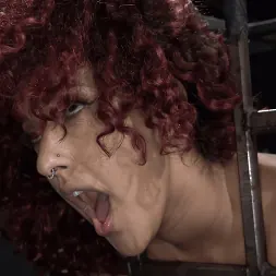 Daisy Ducati に アスファルト島、パート2:デイジードゥカティとラッカス (写真 14) Daisy Ducati に 'Kink' アスファルト島、パート2:デイジードゥカティとラッカス (サムネイル 14)