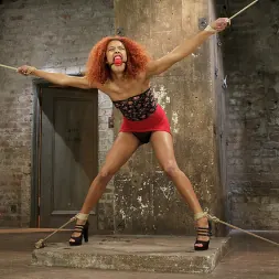 Daisy Ducati に 'Kink' ドゥカティに乗る (サムネイル 9)