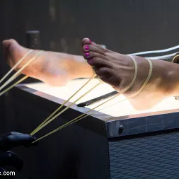 Daisy Ducati に 'Kink' ディスプレイ上のいたずら (サムネイル 10)