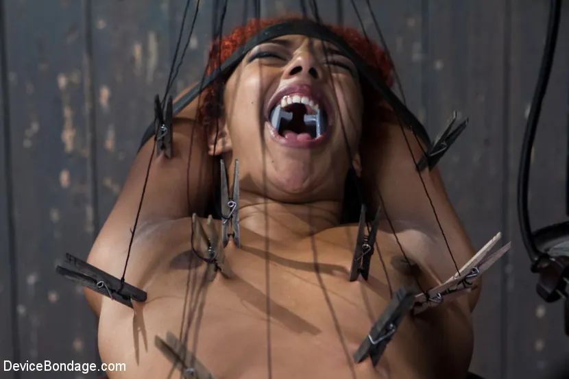 Daisy Ducati に 'ディスプレイ上のいたずら' from 'Kink' (写真 14) Kink 'ディスプレイ上のいたずら' 主演 Daisy Ducati (写真 14)