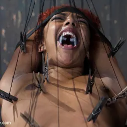 Daisy Ducati に 'Kink' ディスプレイ上のいたずら (サムネイル 14)