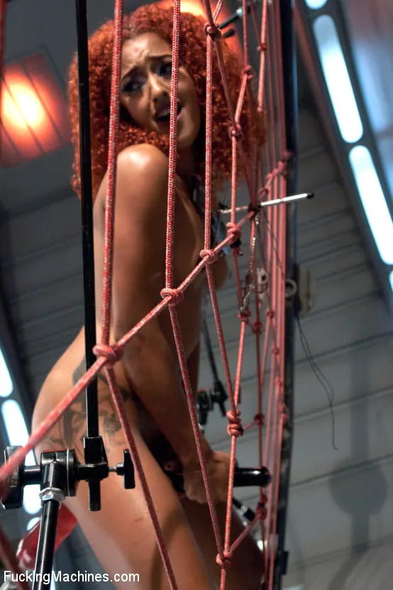 Daisy Ducati に 'スパイダー・ウェブ・オブ・マシン、乳房ブレス・プレイ乳首クランプと大手術' from 'Kink' (写真 5) Kink 'スパイダー・ウェブ・オブ・マシン、乳房ブレス・プレイ乳首クランプと大手術' 主演 Daisy Ducati (写真 5)