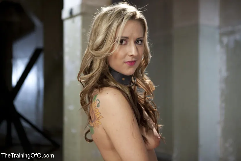 Kink 'コックを取るために小さなカントリーカンツを訓練する' 主演 Dallas Blaze (写真 5)