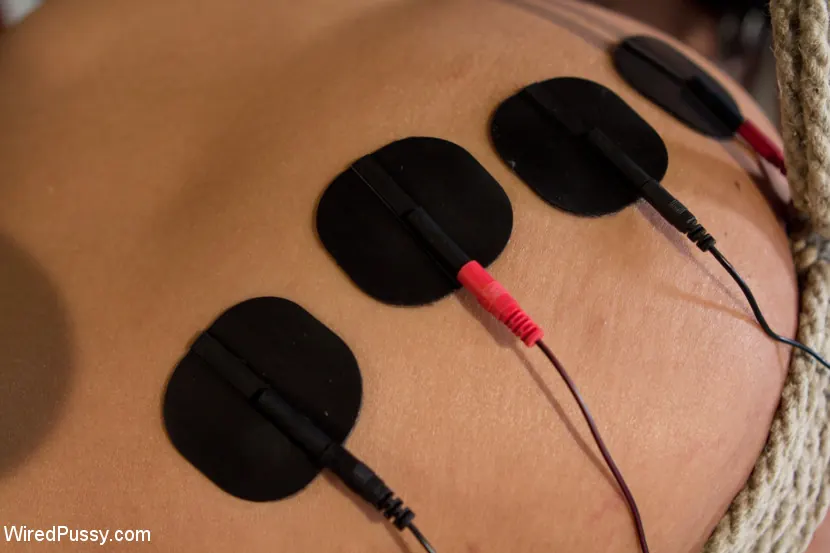 Kink 'The Electro Lesbian Club' starring Dana DeArmond (Photo 8)