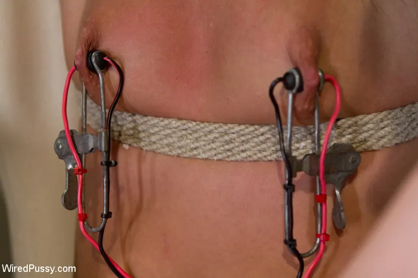 Kink 'The Electro Lesbian Club' starring Dana DeArmond (Photo 13)