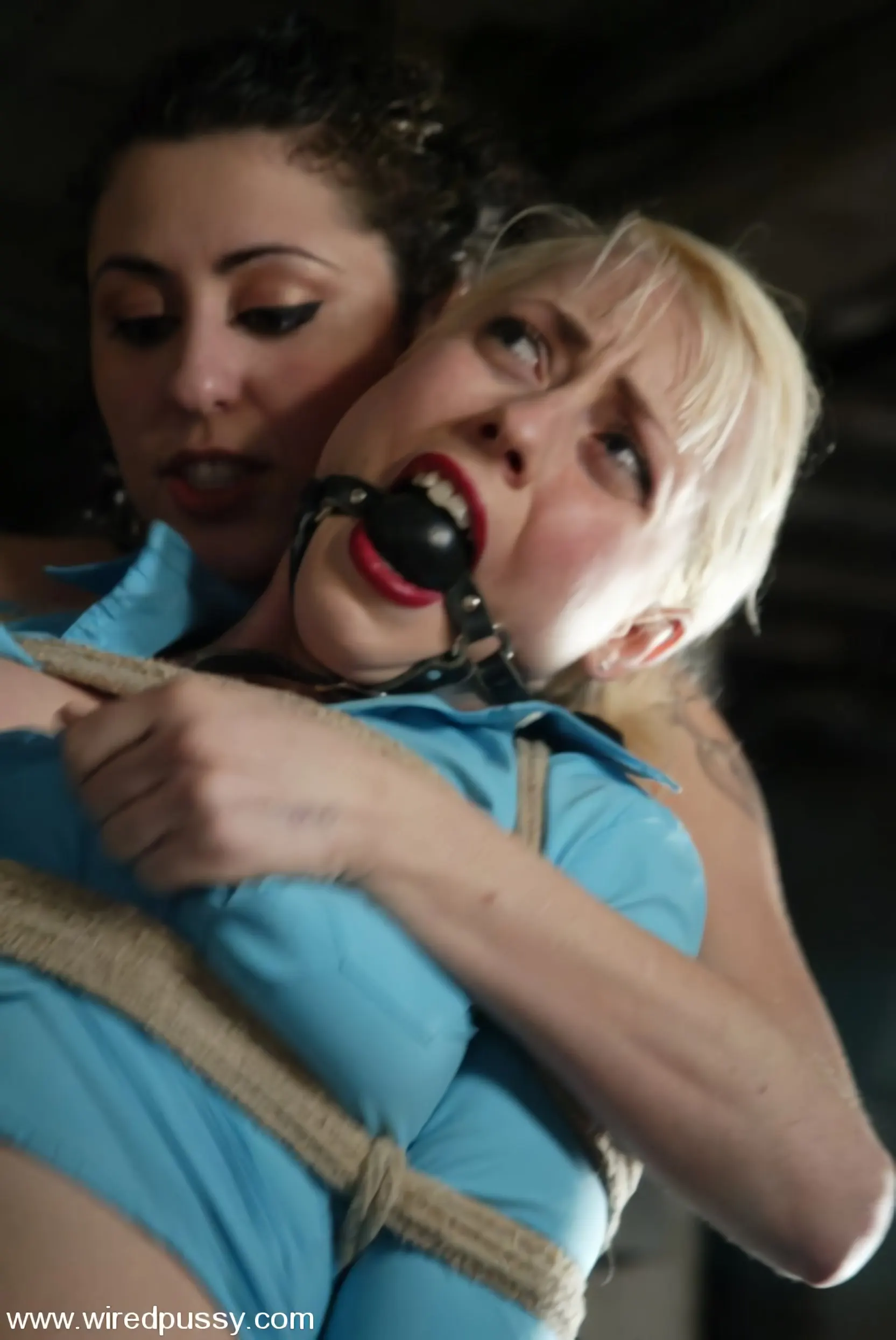 Kink 'COLLECTION PART 4' starring Dana DeArmond (Photo 2)