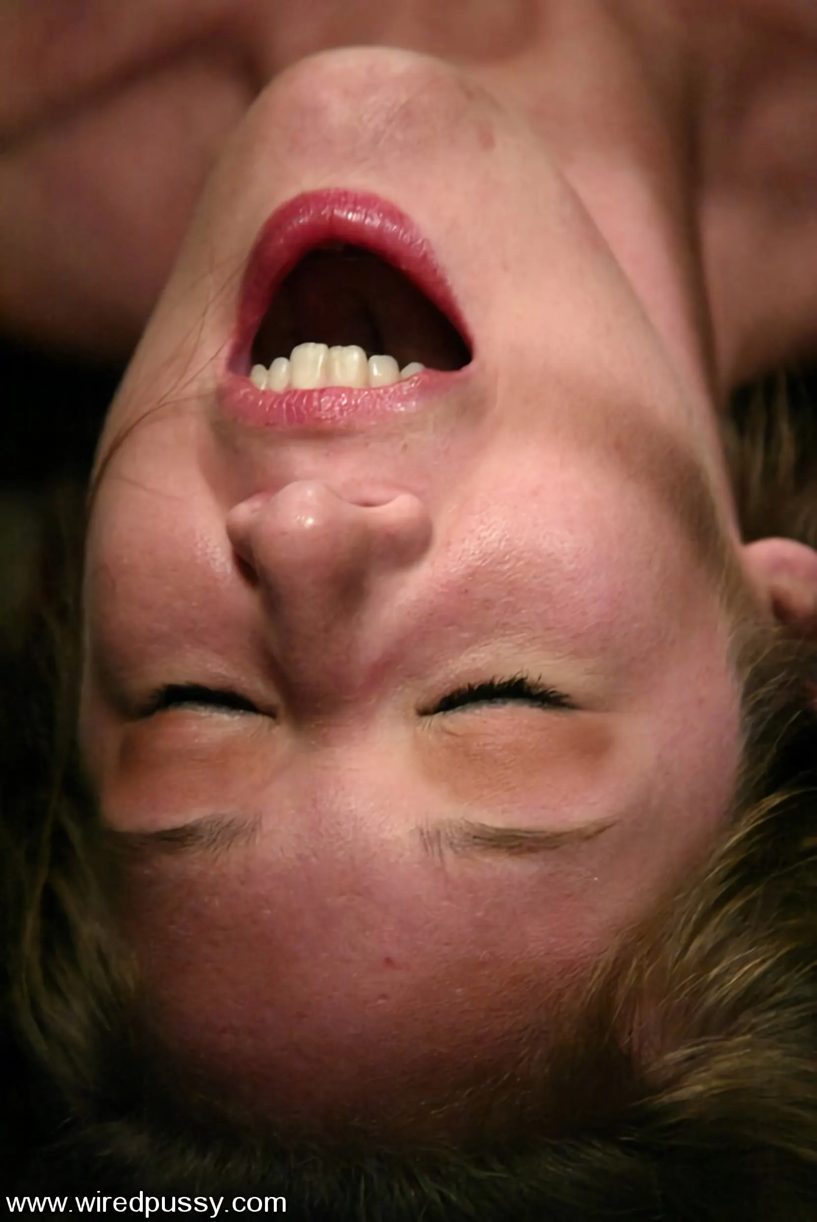 Kink 'COLLECTION PART 5' starring Dana DeArmond (Photo 4)