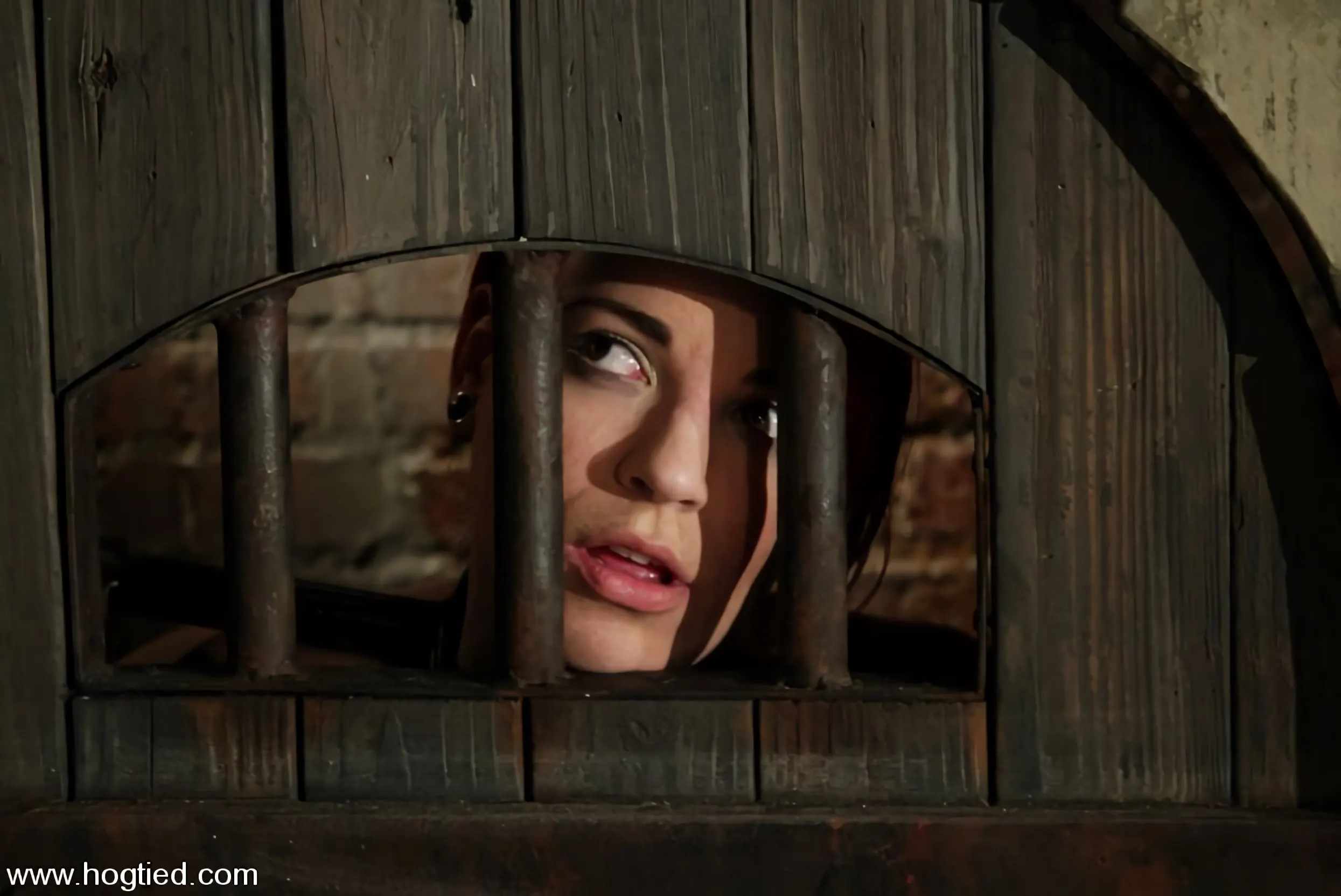 Kink 'Dana DeArmond' starring Dana DeArmond (Photo 1)