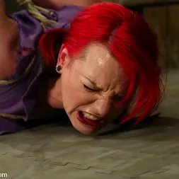 Dana DeArmond in 'Kink' Dana DeArmond (Thumbnail 6)