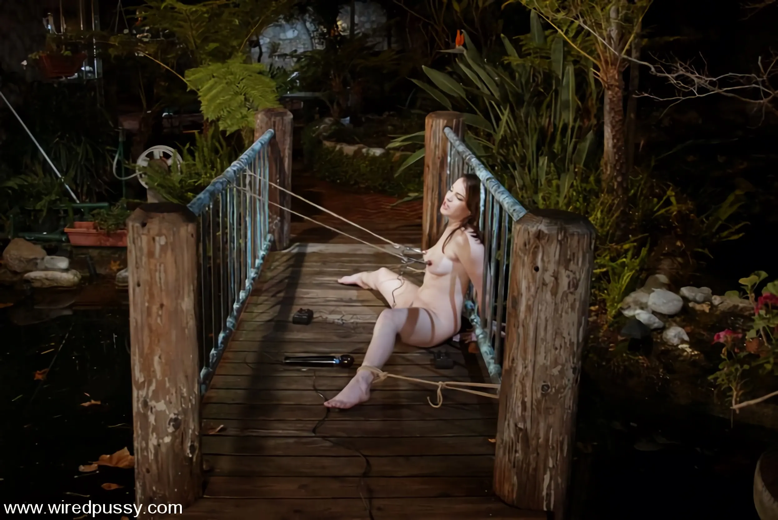 Kink 'Dana DeArmond' starring Dana DeArmond (Photo 11)