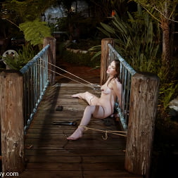 Dana DeArmond in 'Kink' Dana DeArmond (Thumbnail 11)