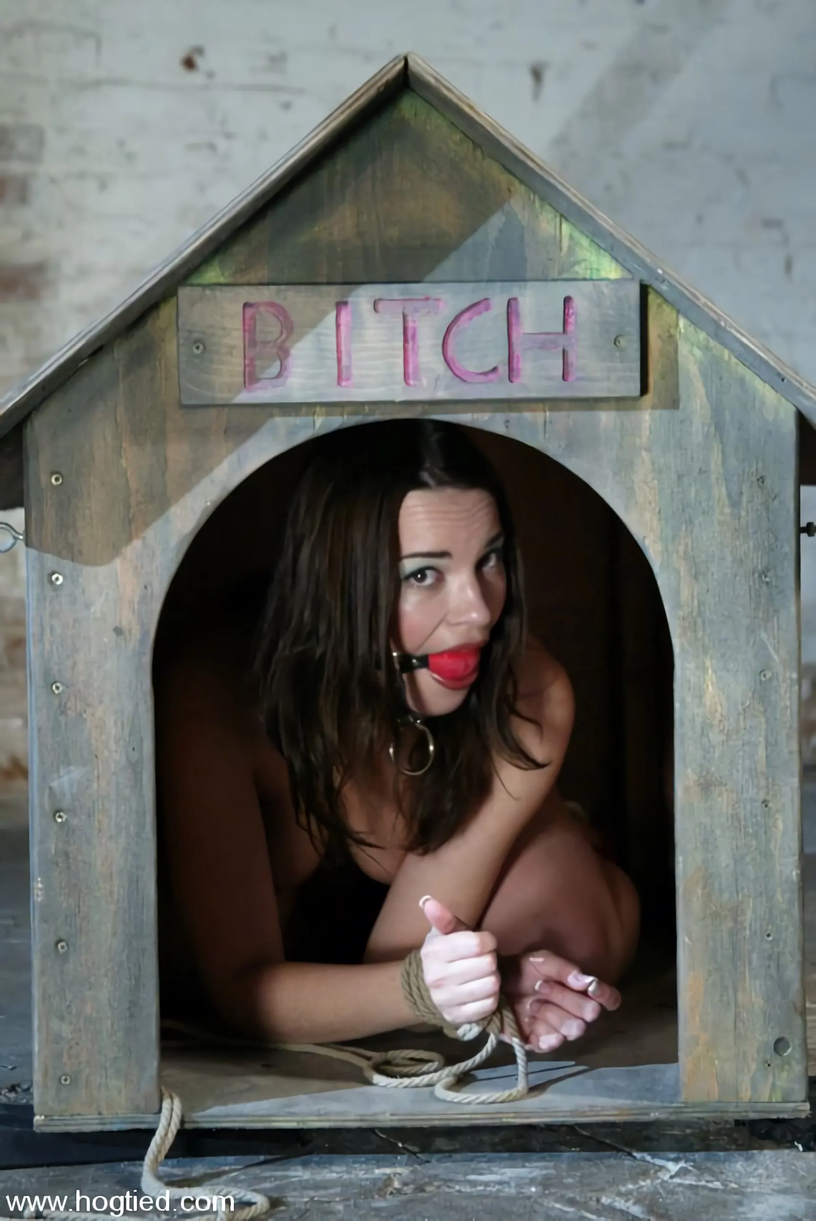 Kink 'Dana DeArmond' starring Dana DeArmond (Photo 2)