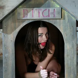 Dana DeArmond in 'Kink' Dana DeArmond (Thumbnail 2)