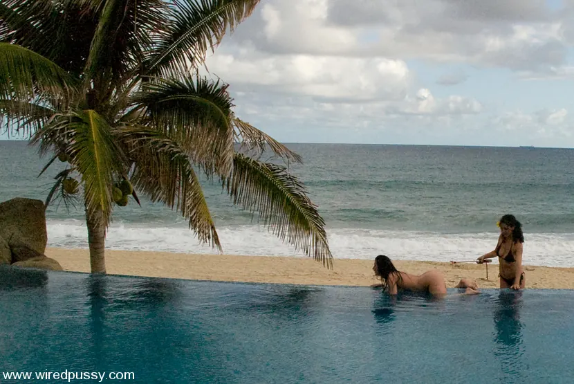 Kink 'Tied in the Tropics' starring Dana DeArmond (Photo 1)