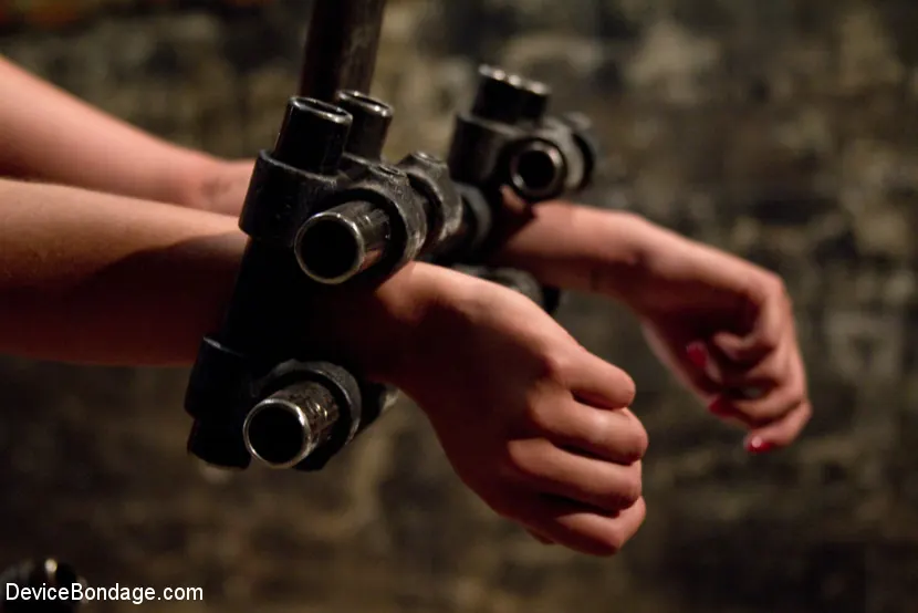 Kink 'Droolでカバーされ、Cummingを止めることはできません' 主演 Dana Vixen (写真 9)