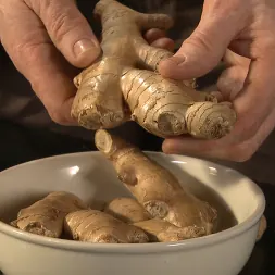 Darling en 'Kink' Figging: Follando con Ginger (Miniatura 2)