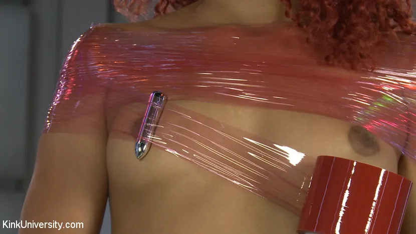 Kink 'ミイラ化ボンデージプレイ' 主演 Daisy Ducati (写真 9)