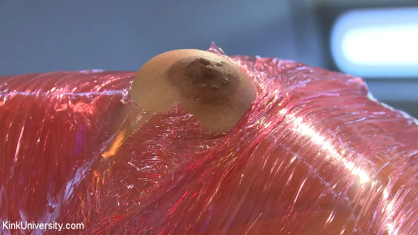 Kink 'ミイラ化ボンデージプレイ' 主演 Daisy Ducati (写真 14)