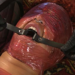 Daisy Ducati in 'Kink' Mummification Bondage Play (Thumbnail 16)