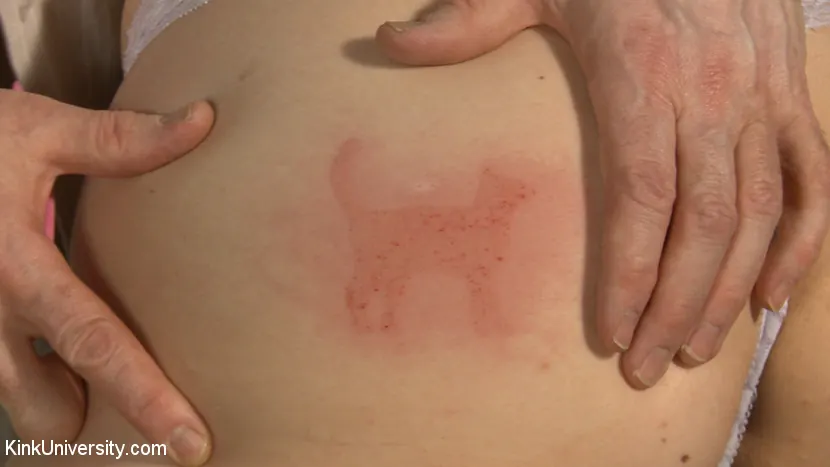 Siouxsie Q に 'スキンステリング:あなたのマークを作るクリエイティブな方法' from 'Kink' (写真 14) Kink 'スキンステリング:あなたのマークを作るクリエイティブな方法' 主演 Siouxsie Q (写真 14)