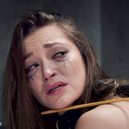 Dani Daniels に 'Kink' 杖トレーニングDani Daniels、3日目 (サムネイル 12)