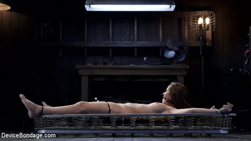 Kink '- Closet Pain Slut' 主演 Dani Daniels (写真 12)