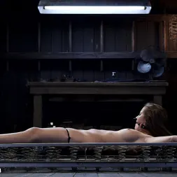 Dani Daniels に 'Kink' - Closet Pain Slut (サムネイル 12)