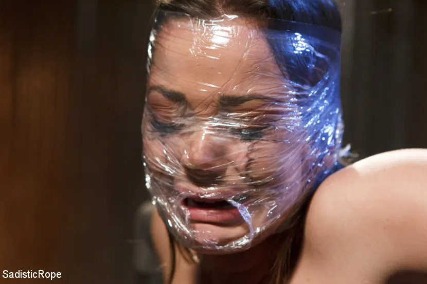 Kink 'DE-FUCKING-STROYED!!!' 主演 Dani Daniels (写真 15)