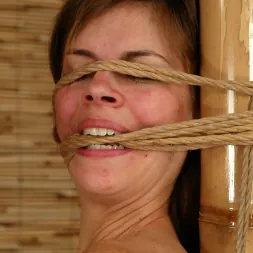 Danielle に 'Kink' アリソン (サムネイル 11)