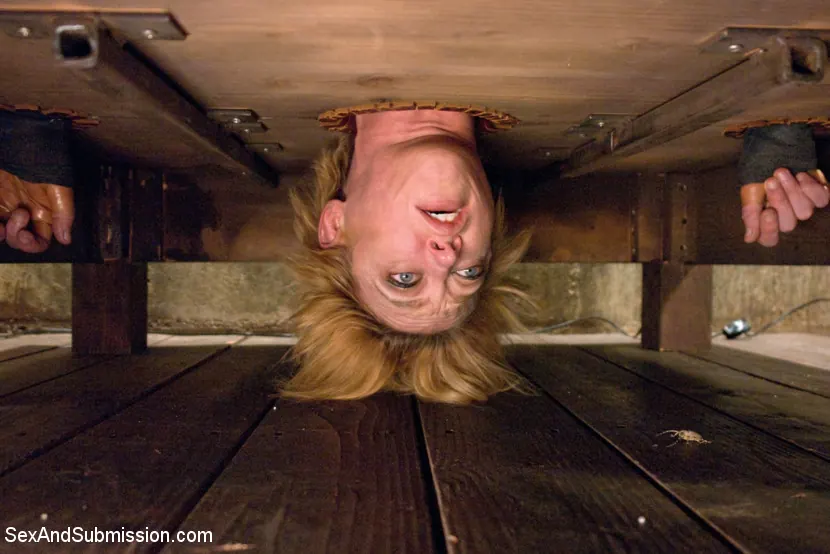 Kink 'Gimpの復讐 - 報復は雌犬のことです！' 主演 Darling (写真 12)