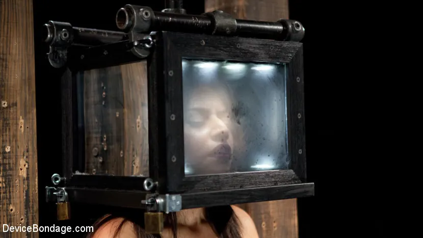 Kink '堕落した支配' 主演 Darling Deicide (写真 10)