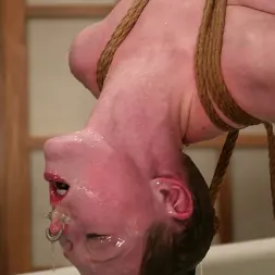 Dee Williams in 'Kink' Blaze and Darling (Thumbnail 14)