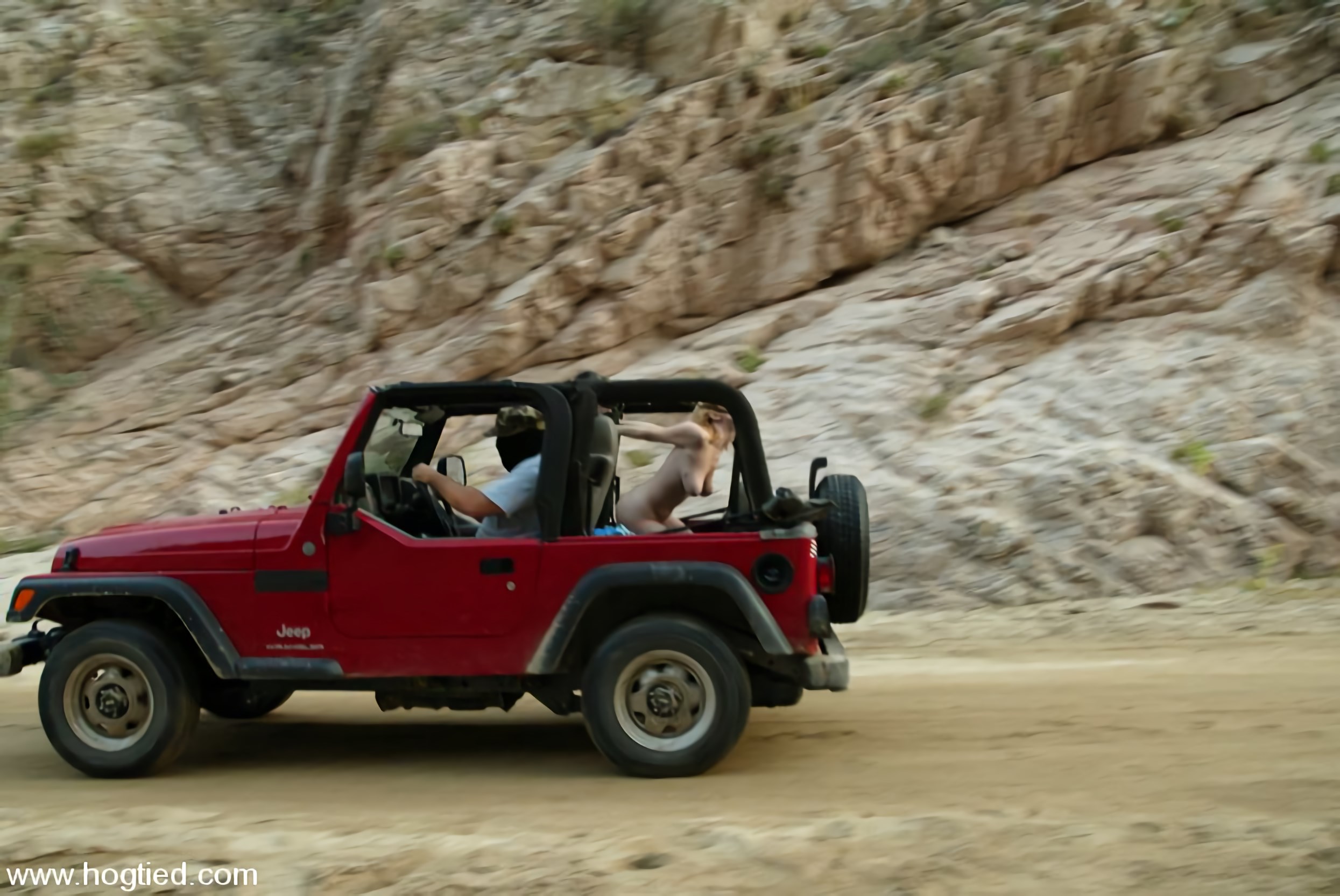 Kink 'Cabo, el regreso. Parte 6' protagonizando Dee Williams (foto 1)