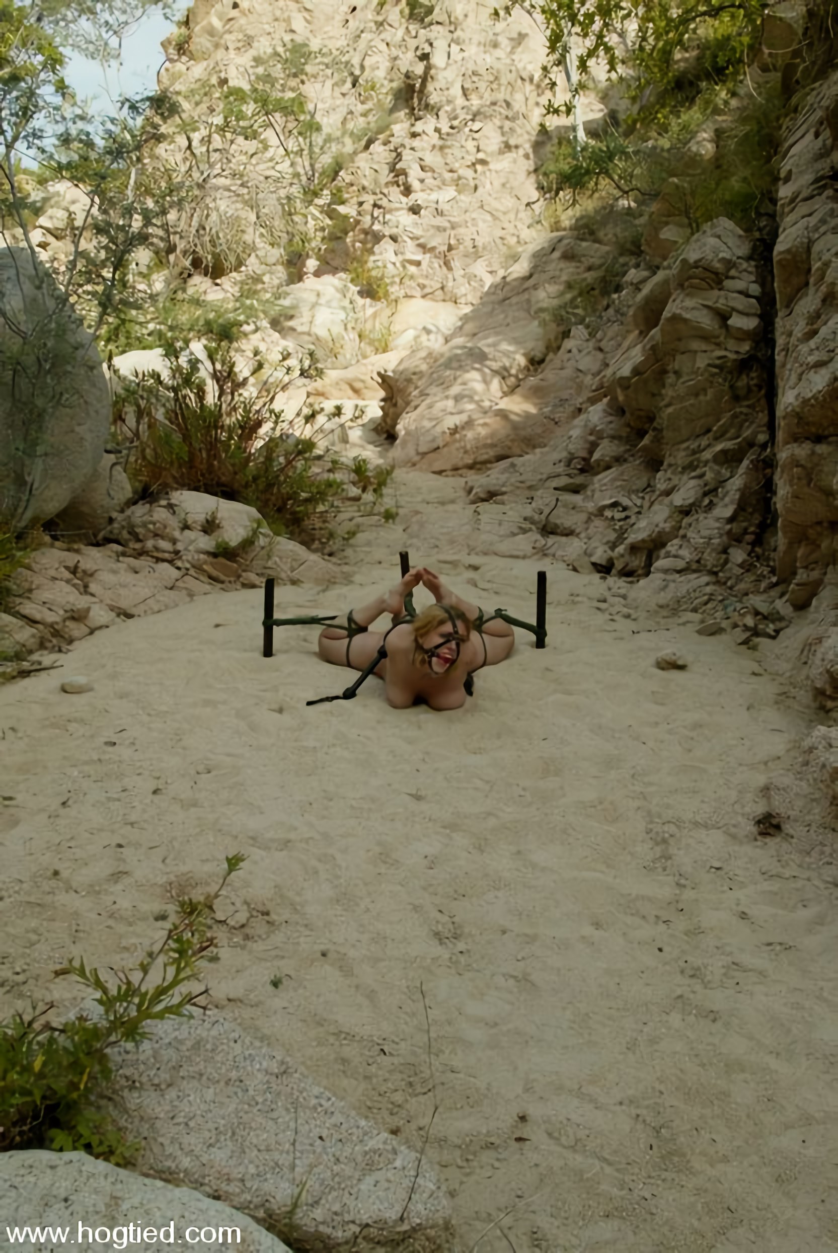 Kink 'Cabo, el regreso. Parte 6' protagonizando Dee Williams (foto 9)