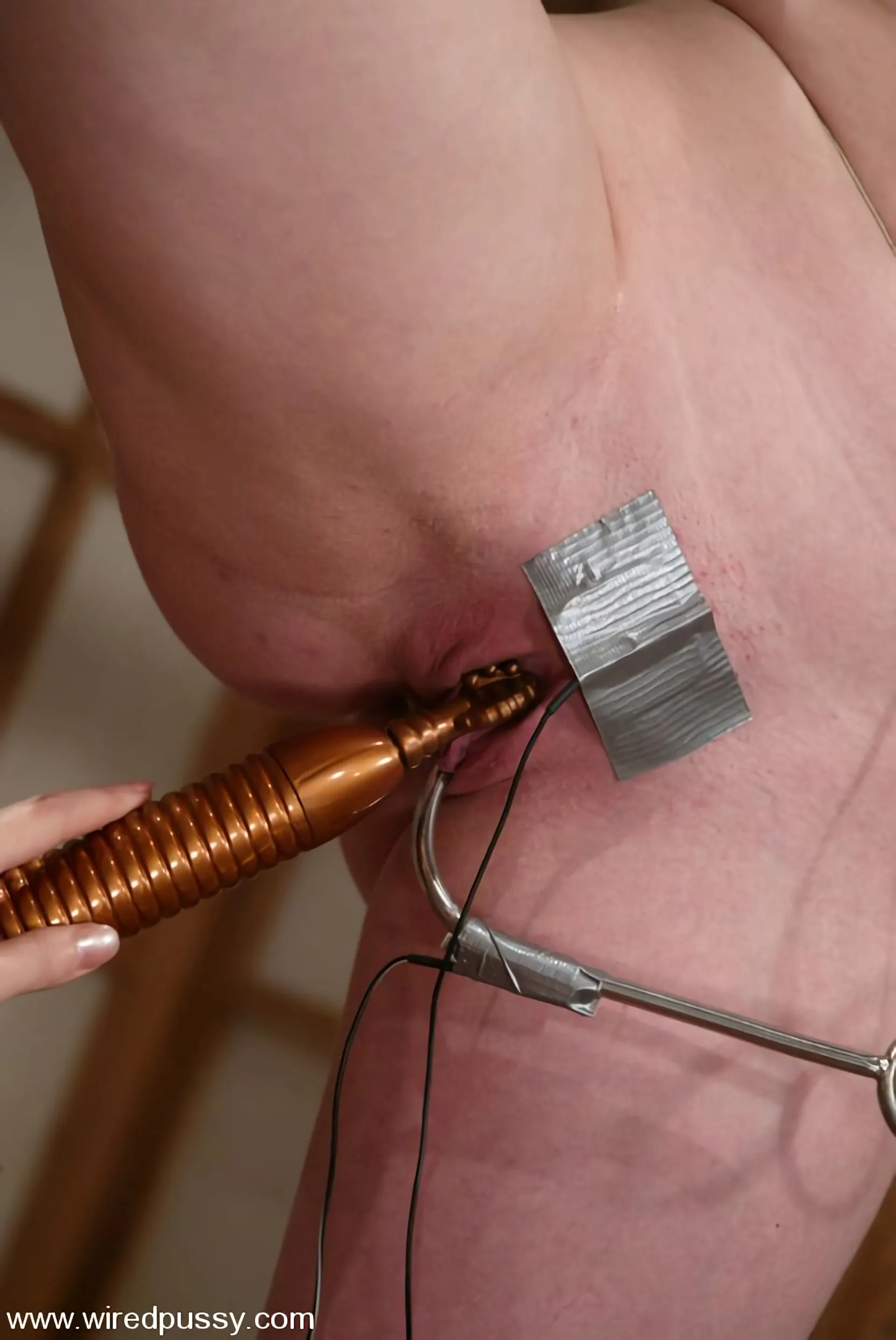 Kink 'Darling' starring Dee Williams (Photo 3)