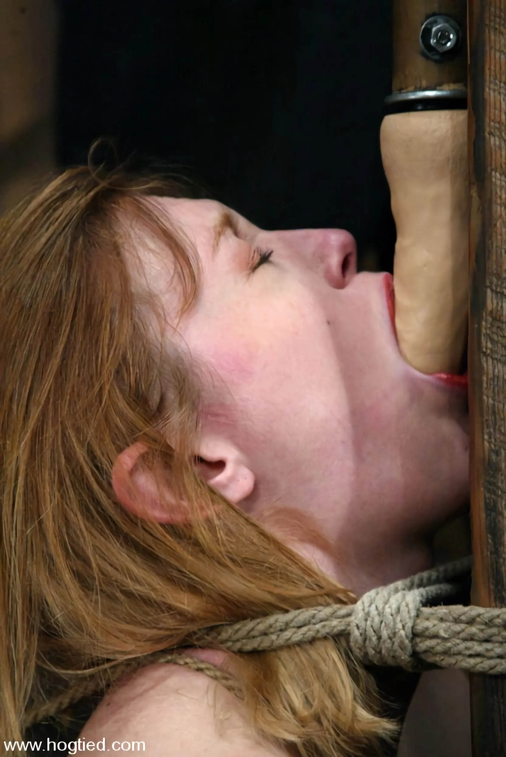 Kink 'Darling' starring Dee Williams (Photo 5)