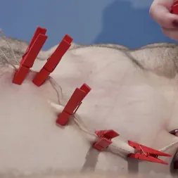 Dee Williams in 'Kink' Nurse Williams: Dee Williams Dominates Patient Jonah Marx (Thumbnail 24)