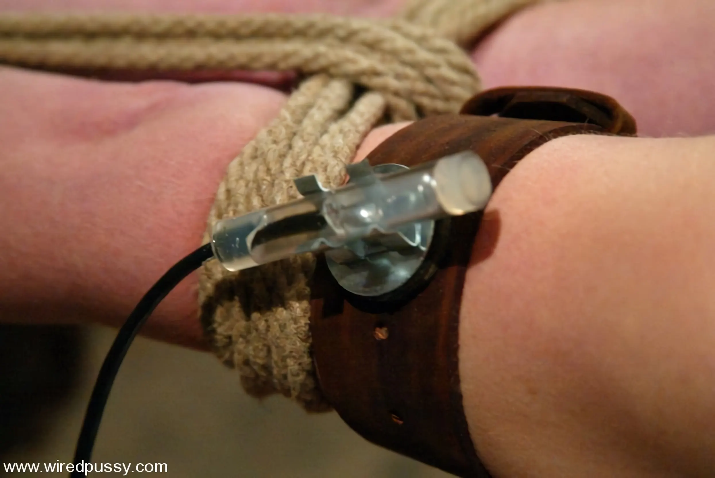 Kink 'Princess Donna Dolore and Darling' starring Dee Williams (Photo 9)