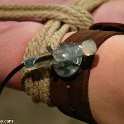 Dee Williams in 'Kink' Princess Donna Dolore and Darling (Thumbnail 9)