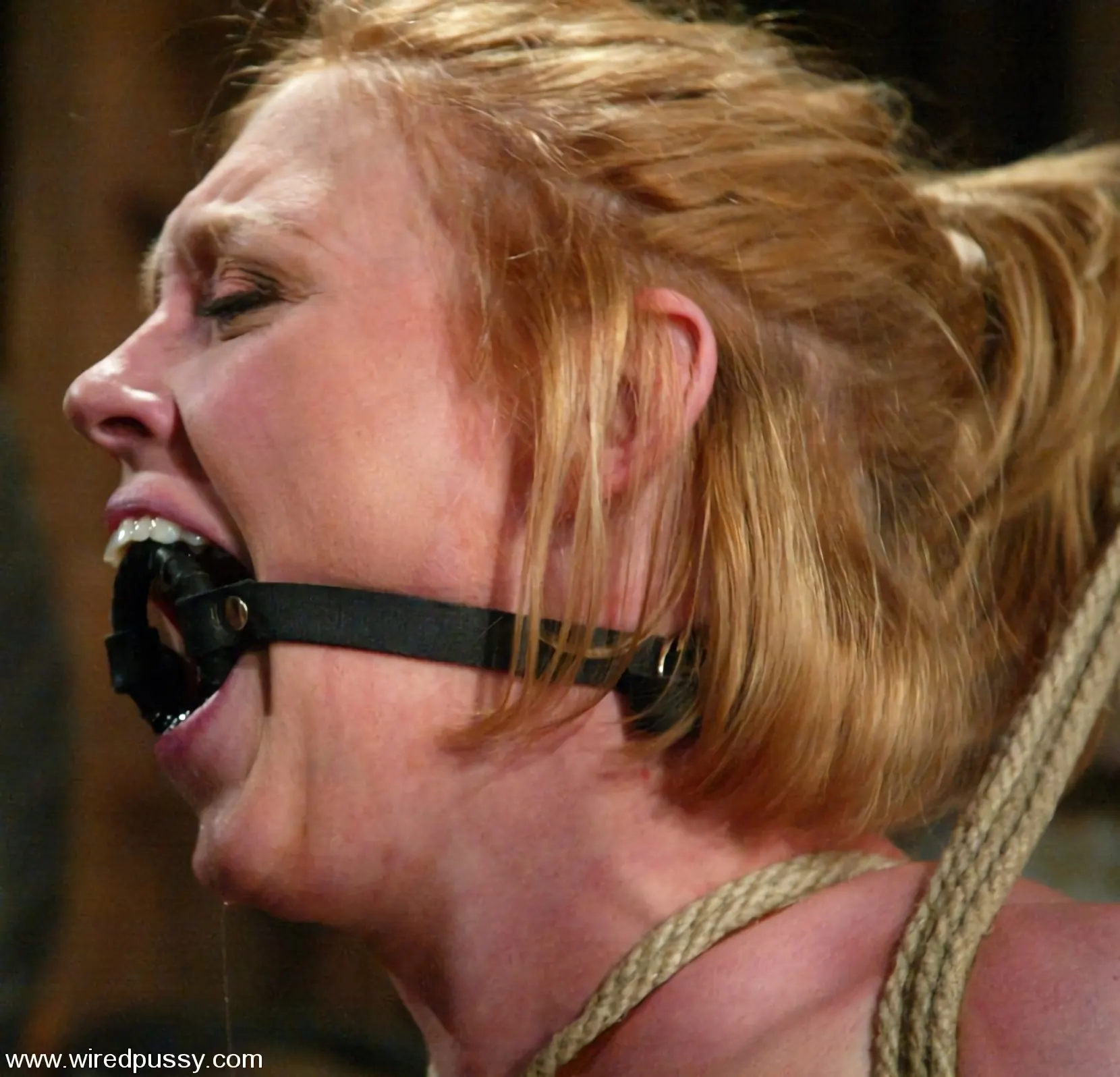 Kink 'Princess Donna Dolore and Darling' starring Dee Williams (Photo 14)