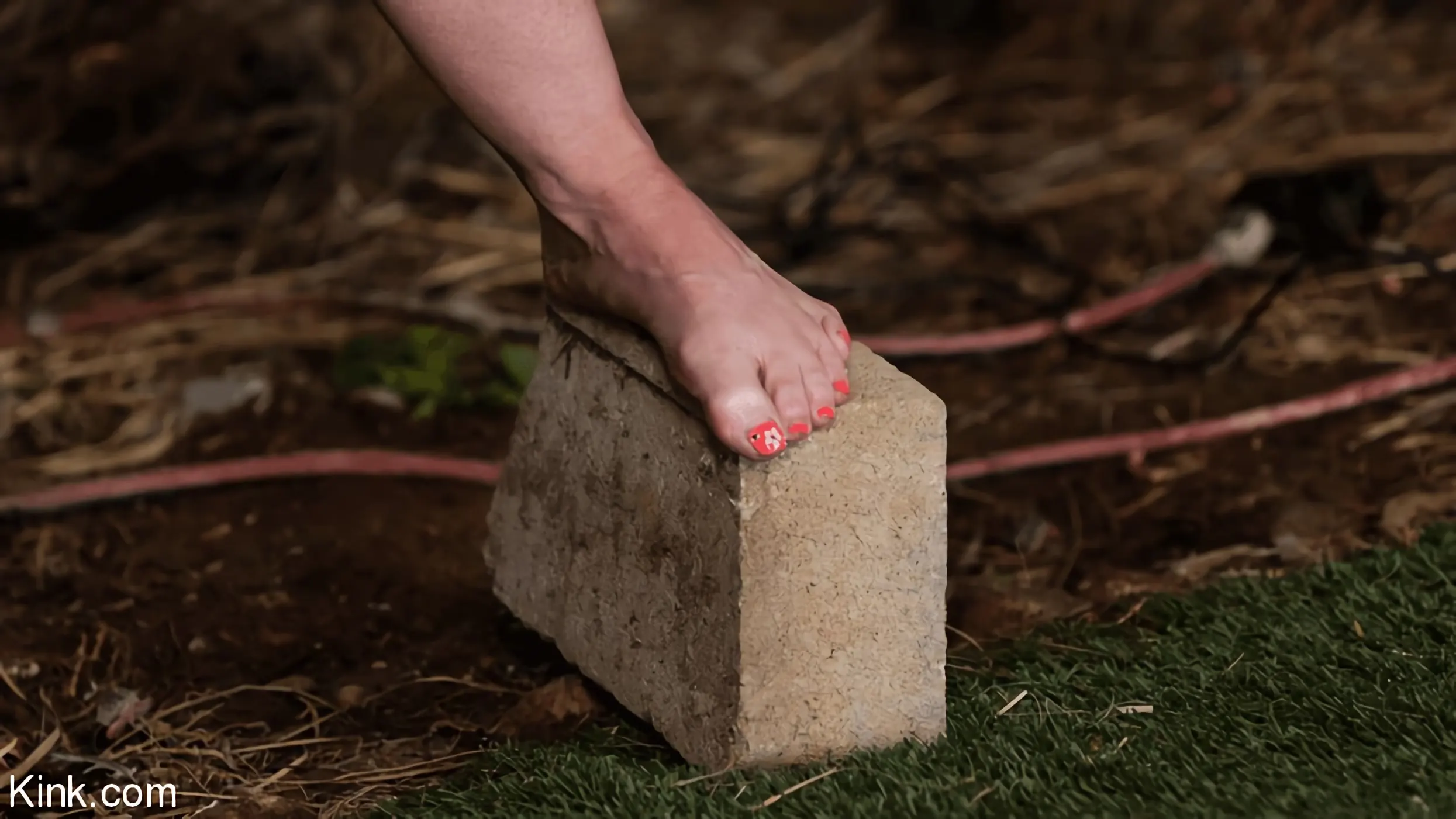 Kink 'The Last Resort: Dee Williams and Syren de Mer' starring Dee Williams (Photo 11)